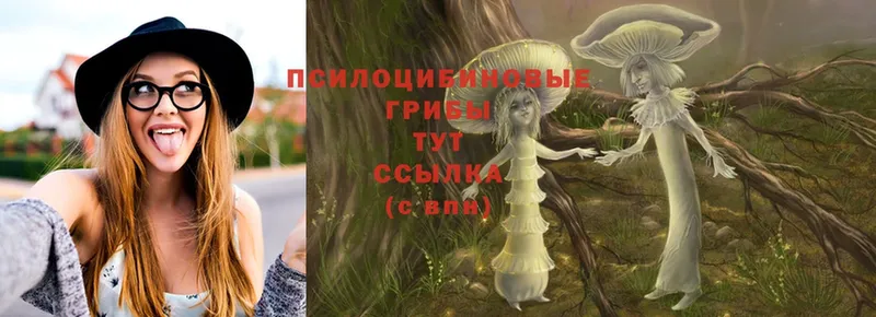 Галлюциногенные грибы Magic Shrooms  omg ONION  Свободный 